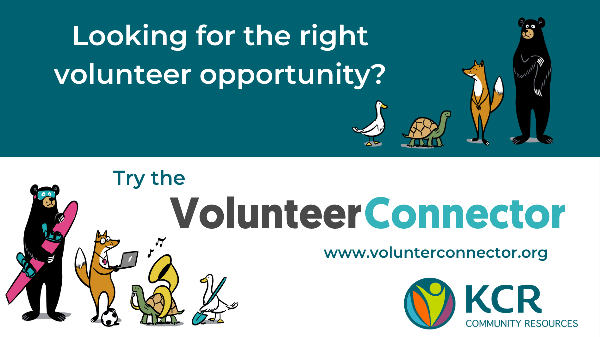 VolunteerConnector