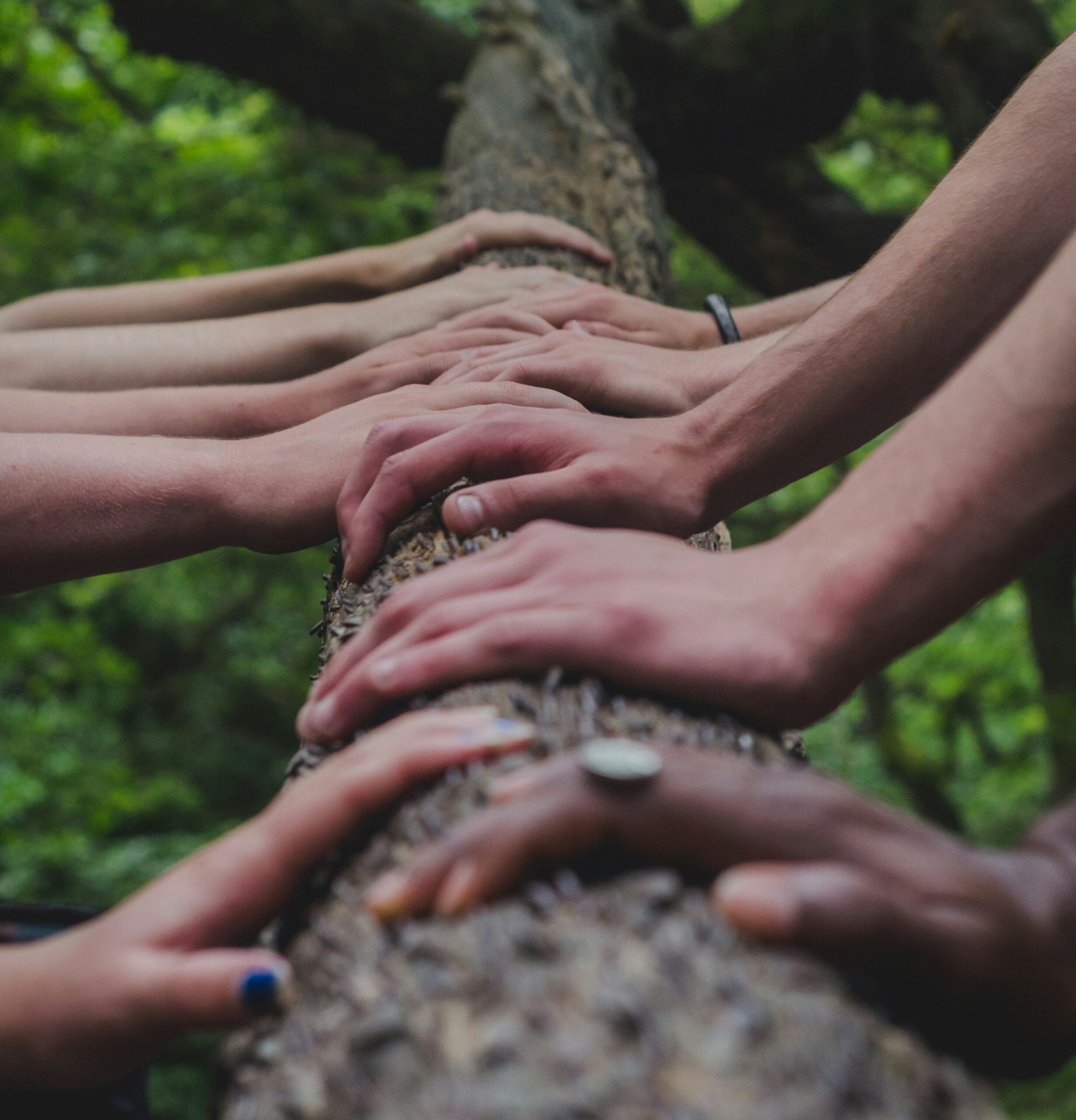 shane-rounce-DNkoNXQti3c-unsplash – About Page – cropped